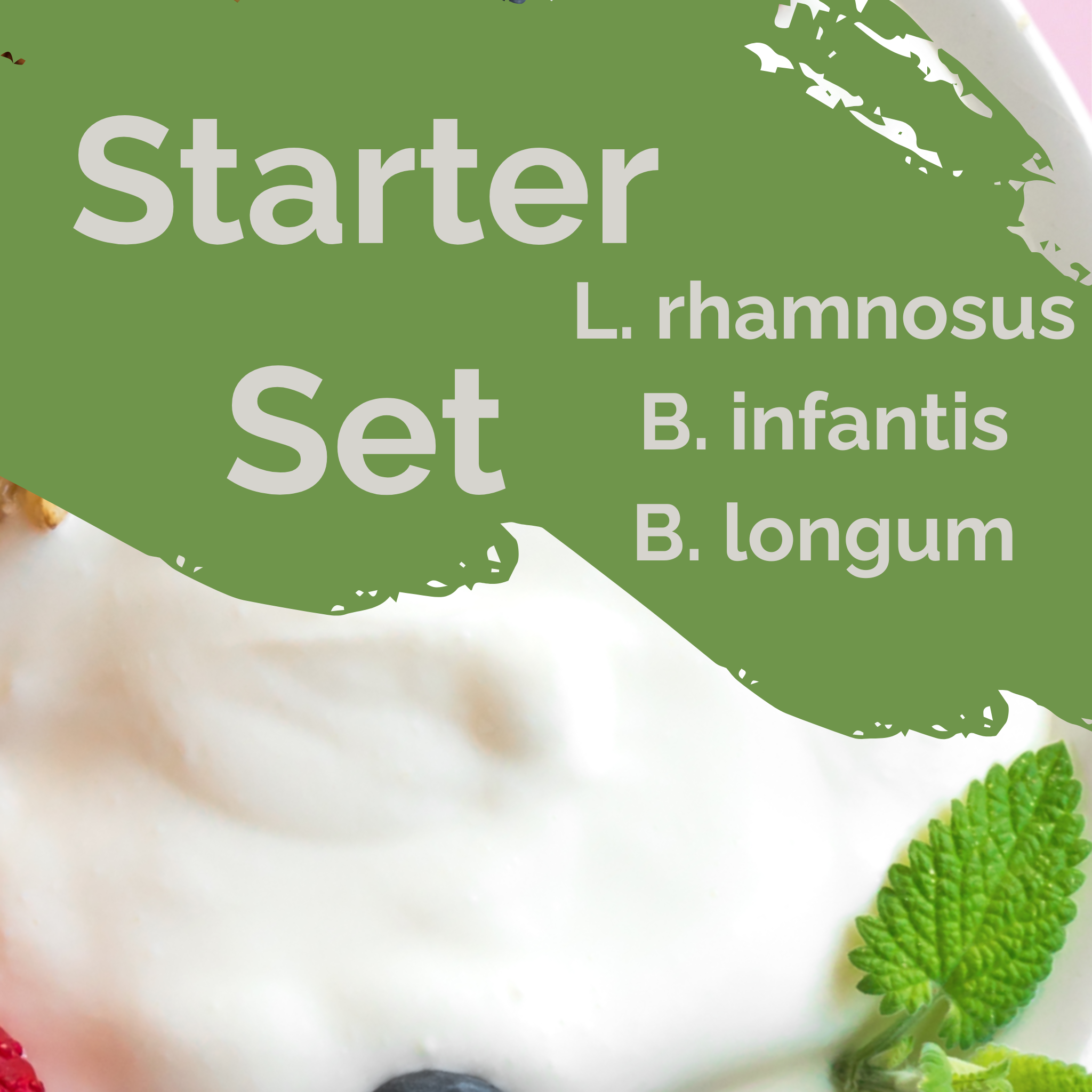 L. rhamnosus + B. infantis + B. longum | Set de Inicio para Yogur | Equilibrio Intestinal | Cultivos Iniciadores | Paquete de 3