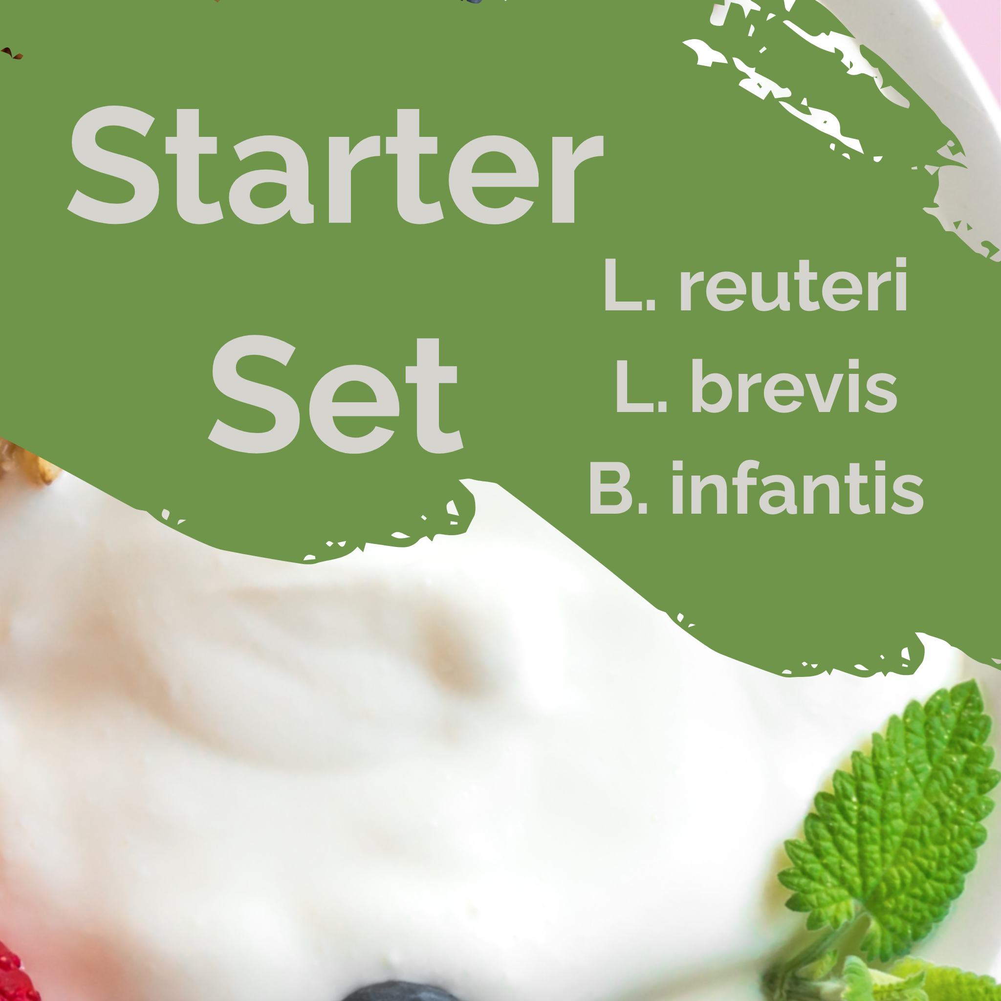 L. reuteri + L. brevis + B. infantis | Juego de inicio para yogur | Intestino Cerebro | Cultivos iniciadores | Paquete de 3